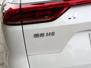 2023 1.5T ԄӶа (x)(ji)^