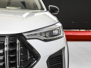 20231.5T (dng) (x)(ji)^