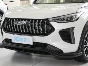 20231.5T (dng) (x)(ji)^