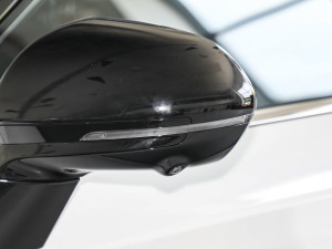 20231.5T (dng) (x)(ji)^