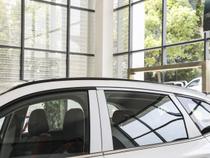 20231.5T (dng) (x)(ji)^