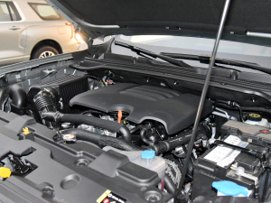 2023款2.0T 自动四驱领英 汽油 其它