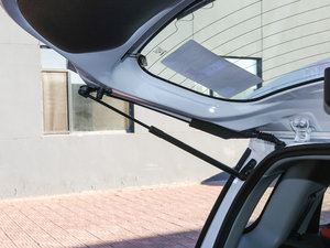 2016t(bio) 1.5L ք(dng)A g