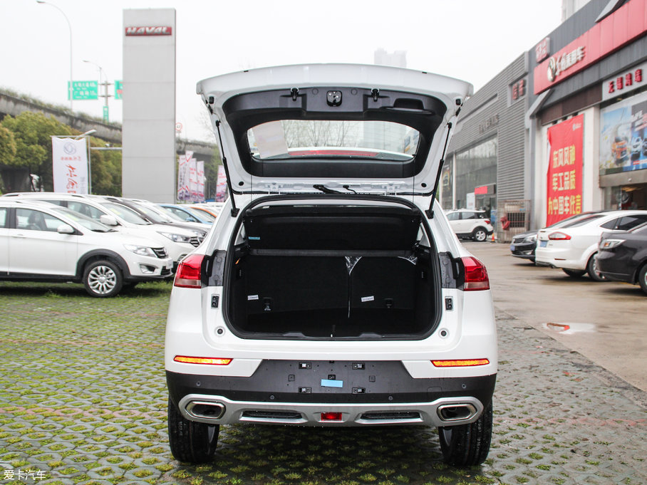 2017H2s t(bio) 1.5T ԄӾӢ