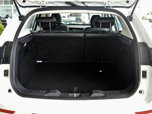 2017t(bio) 1.5T քӾӢ g