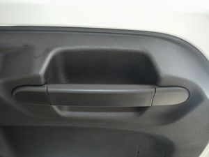 2017t(bio) 1.5T քӾӢ g