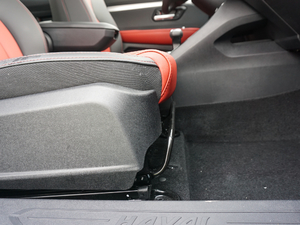 2017t(bio) 1.5T Ԅm g