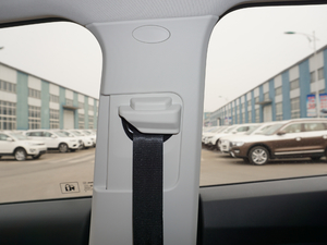 2017t(bio) 1.5T Ԅ(dng)m g