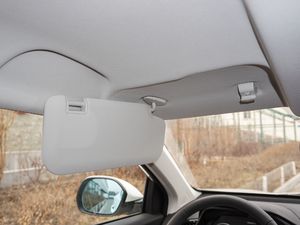 2017t(bio) 1.5T Ԅm g