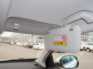 2017t(bio) 1.5T Ԅm g