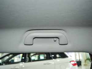 2017t(bio) 1.5T Ԅ(dng)m g