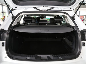 2017ȫ t(bio) 2.0T ԄI(lng) g