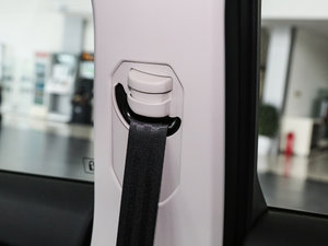 2017ȫ t(bio) 2.0T ԄI(lng) g