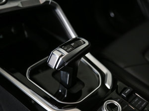 2017款全新 红标 2.0T 自动领尚型 换挡杆