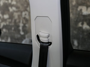 2017ȫ t 2.0T ԄI(lng) g