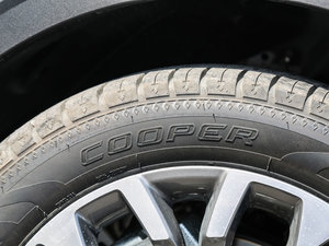 2017款全新 蓝标 2.0T 自动领尚型 细节外观