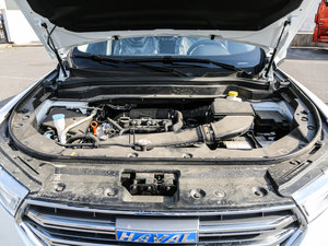 2017款全新 蓝标 2.0T 自动领尚型 其它