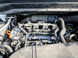 2017款全新 蓝标 2.0T 自动领尚型 其它