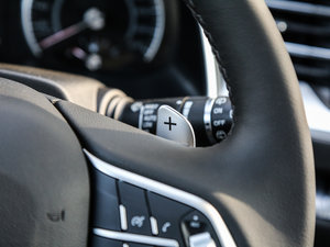 2017ȫ {(ln)(bio) 2.0T Ԅ(dng)I(lng) п؅^(q)