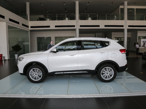 2017ȫ {(ln)(bio) 1.3T Ԅ(dng)L(fng) w^