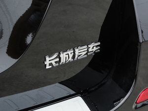 2017款蓝标 运动版 1.5T 自动两驱汽油豪华型 细节外观