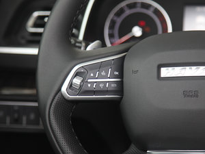 2017ȫ {(ln)(bio) 2.0T ԄL(fng) п؅^(q)