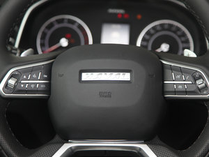 2017ȫ {(ln)(bio) 2.0T ԄL(fng) п؅^(q)