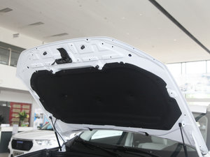 2017ȫ {(ln)(bio) 2.0T ԄL(fng) 