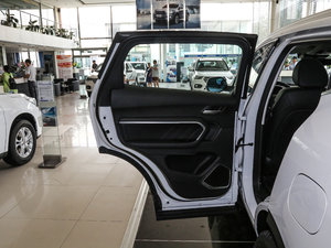 2017款全新 蓝标 2.0T 自动智尚型 左后车门