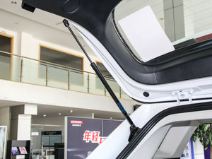 2017ȫ t(bio) 2.0T Ԅ(dng)L(fng) g