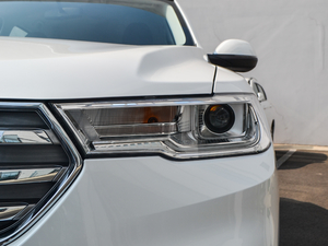 2017ȫ {(ln)(bio) 1.3T Ԅ(dng)r(sh) 