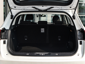 2017ȫ {(ln)(bio) 1.3T Ԅ(dng)r(sh) g