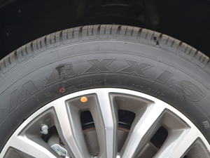 2017t(bio) \Ӱ 1.5T ԄӃ(q)A ݆̥Ʒ