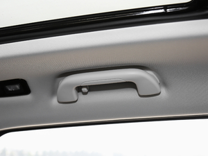 2017ȫ t(bio) 2.0T Ԅ g