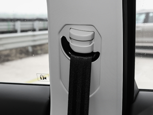 2017ȫ t(bio) 2.0T Ԅ g