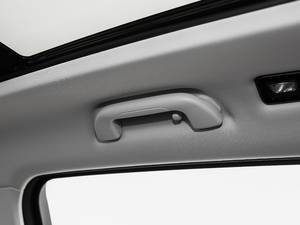 2017ȫ t(bio) 2.0T Ԅ g