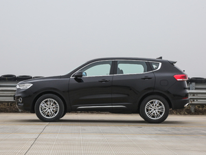 2017款全新 蓝标 1.3T 自动时尚型 正侧（左）