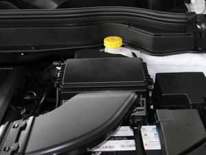 2017ȫ {(ln)(bio) 1.5T Ԅ 