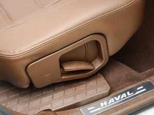 2017L {(ln)(bio) 2.0T ԄF g