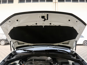 2017L {(ln)(bio) 2.0T ԄF 