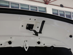 2017L {(ln)(bio) 2.0T ԄF 