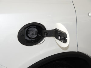 2017t(bio) 2.0T Ԅ(dng)Ӣ w