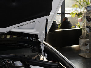 2017t(bio) 2.0T ԄӾӢ 