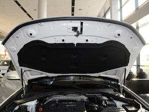 2017t(bio) 2.0T ԄӾӢ 