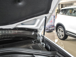 2017t(bio) 2.0T ԄӺA 