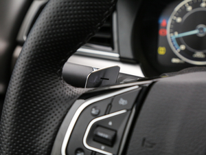 2017t(bio) 2.0T Ԅ(dng)F п؅^(q)