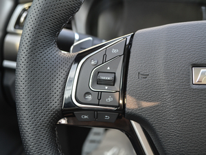 2017t(bio) 2.0T Ԅ(dng)F п؅^(q)