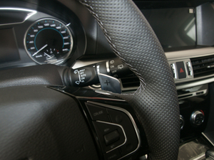 2017L t(bio) 2.0T Ԅ(dng)F п؅^(q)