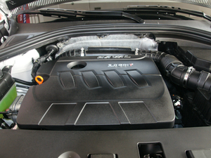 2017款L 红标 2.0T 自动尊贵型 其它