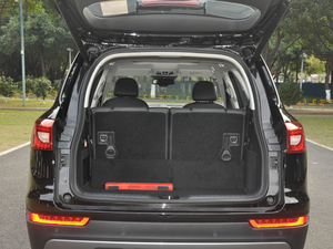 2017L t(bio) 2.0T Ԅ(dng)A g